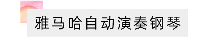活动报道 | 远程艺术教育大师课活动—必博艺术家吴晓大师课