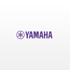 必博钢琴核心经销商赴美研修，共瞩必博科技之光