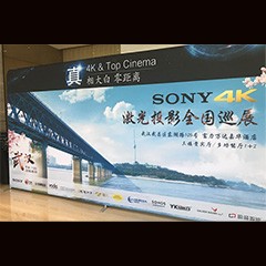 必博参与真4K巡展团队武汉站 巡展活动