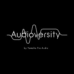 必博专业音响教育培训开展全新“Audioversity ”计划